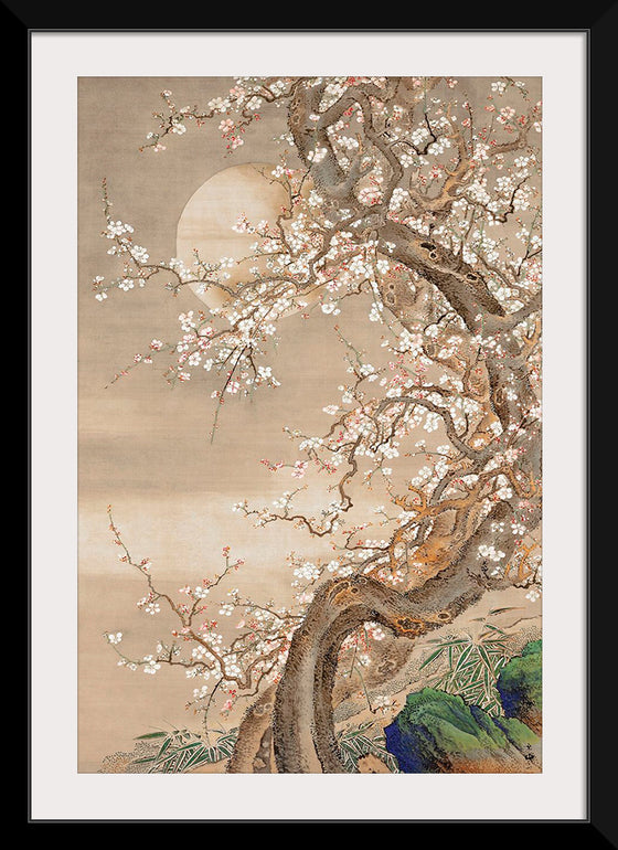 "Japanese Plum Blossoms in Moonlight (18th century)", So Shizan