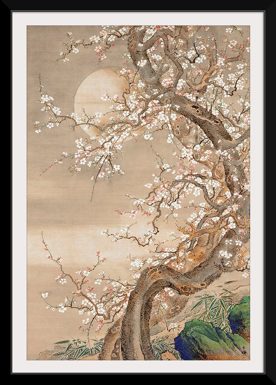 "Japanese Plum Blossoms in Moonlight (18th century)", So Shizan