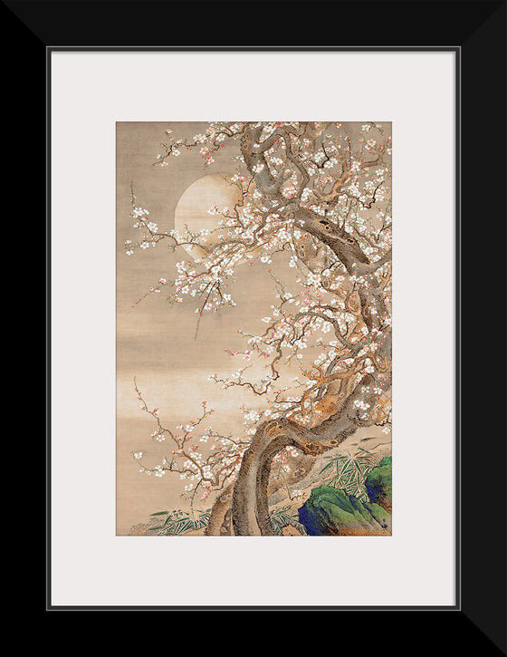 "Japanese Plum Blossoms in Moonlight (18th century)", So Shizan