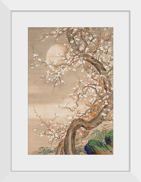 "Japanese Plum Blossoms in Moonlight (18th century)", So Shizan