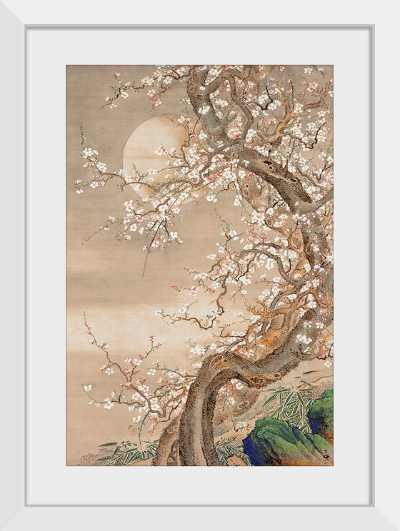 "Japanese Plum Blossoms in Moonlight (18th century)", So Shizan