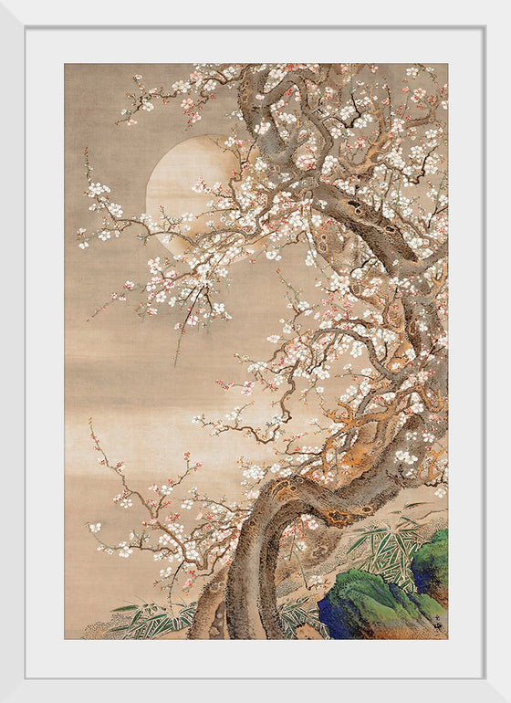 "Japanese Plum Blossoms in Moonlight (18th century)", So Shizan