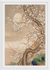 "Japanese Plum Blossoms in Moonlight (18th century)", So Shizan