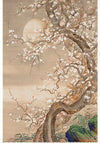 "Japanese Plum Blossoms in Moonlight (18th century)", So Shizan