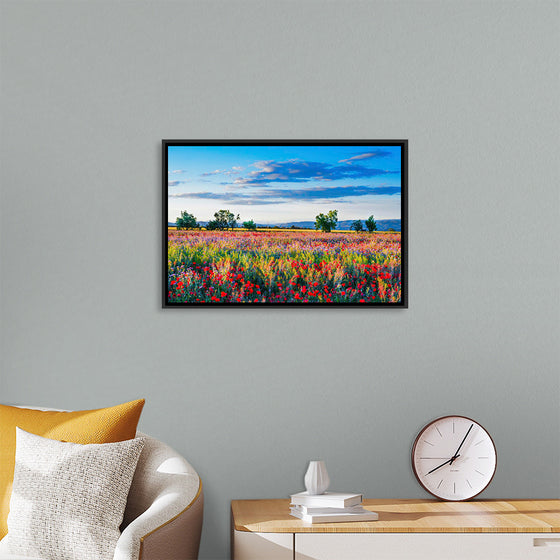 "Red Poppy Field"