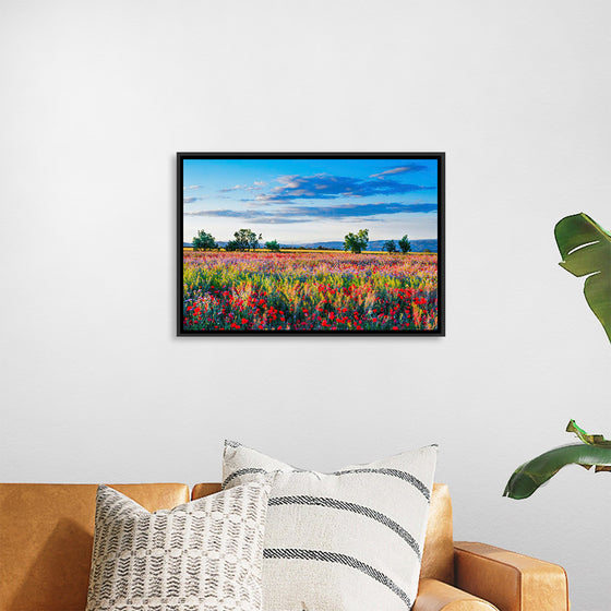 "Red Poppy Field"