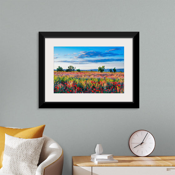 "Red Poppy Field"