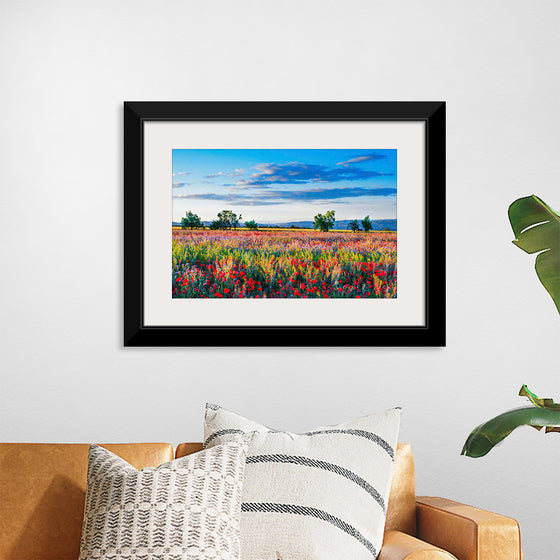 "Red Poppy Field"