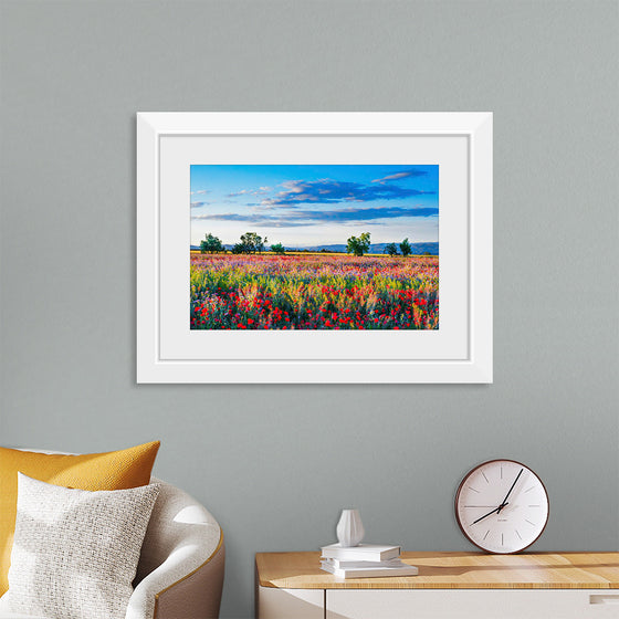 "Red Poppy Field"