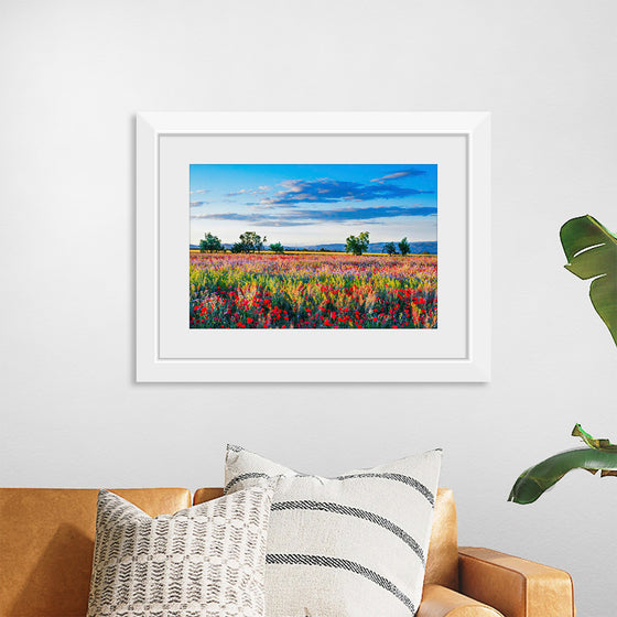 "Red Poppy Field"