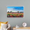 "Red Poppy Field"