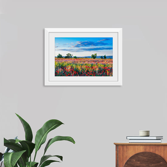 "Red Poppy Field"