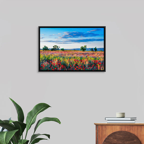 "Red Poppy Field"