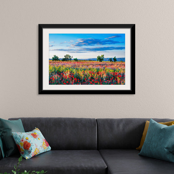 "Red Poppy Field"