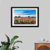 "Red Poppy Field"