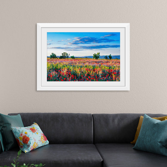 "Red Poppy Field"