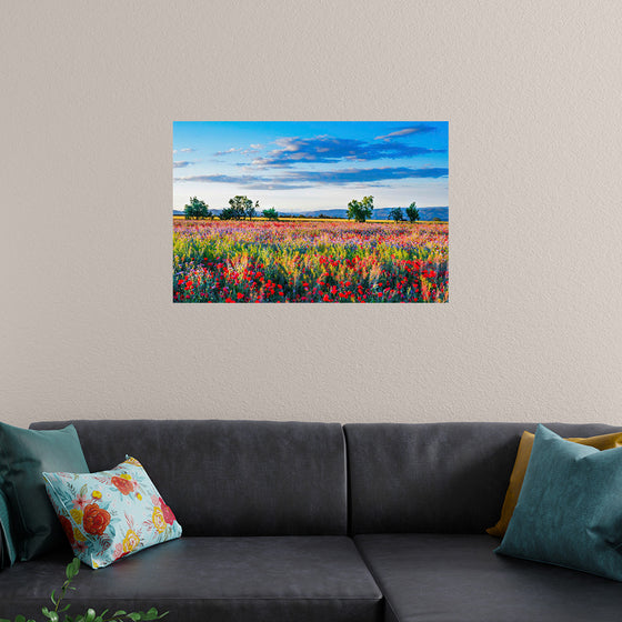 "Red Poppy Field"