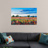 "Red Poppy Field"