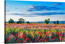  Immerse yourself in the serene beauty of this exquisite print, capturing a vibrant meadow teeming with life and color. Every glance brings you into a world where wildflowers dance freely under the gentle sky, painting an enchanting landscape of tranquility and splendor. The meticulous detail and vivid hues promise to breathe life into any space, offering a visual escape to nature’s untouched beauty. 