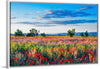 "Red Poppy Field"