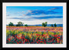 "Red Poppy Field"