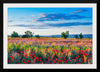 "Red Poppy Field"