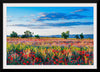 "Red Poppy Field"