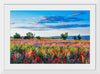 "Red Poppy Field"