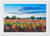 "Red Poppy Field"