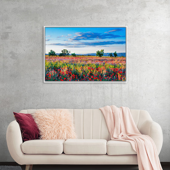 "Red Poppy Field"