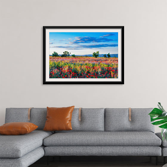 "Red Poppy Field"