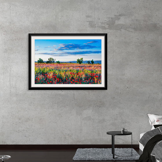 "Red Poppy Field"