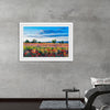 "Red Poppy Field"