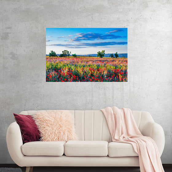 "Red Poppy Field"