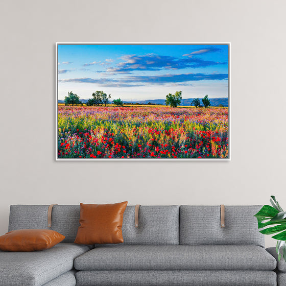 "Red Poppy Field"