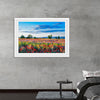 "Red Poppy Field"