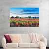 "Red Poppy Field"