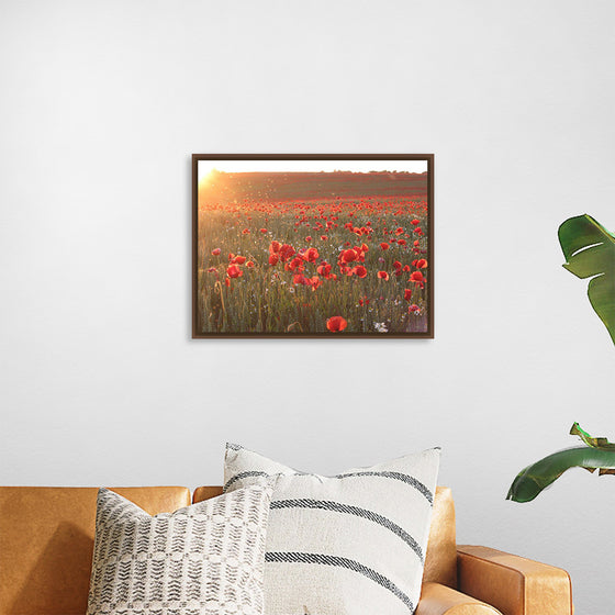 "Red Poppy Field 2"