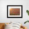 "Red Poppy Field 2"