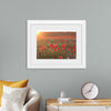 "Red Poppy Field 2"