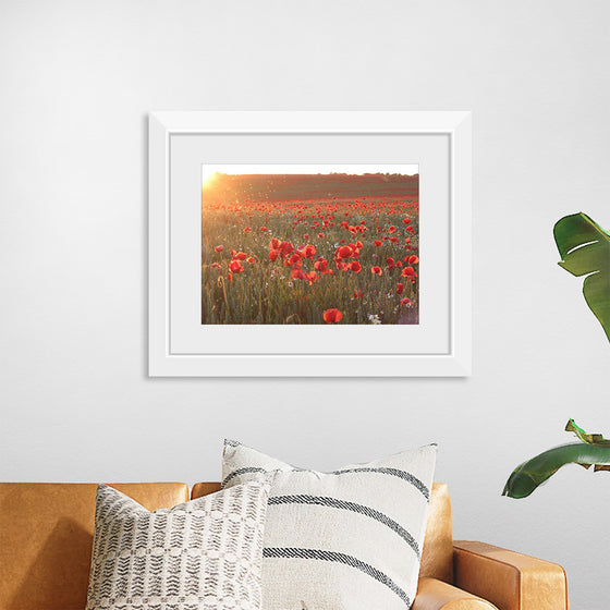 "Red Poppy Field 2"