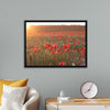 "Red Poppy Field 2"