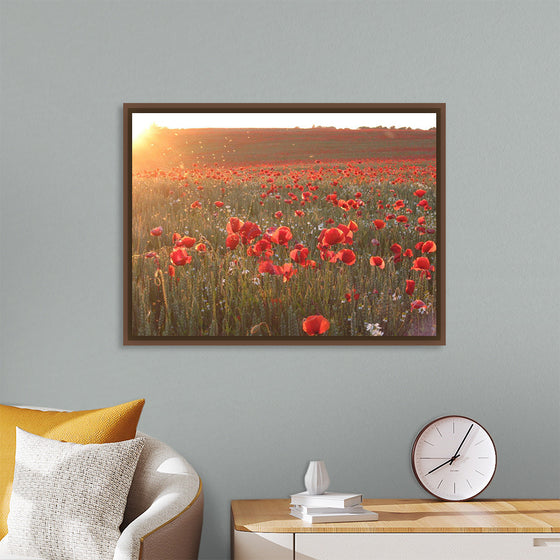 "Red Poppy Field 2"