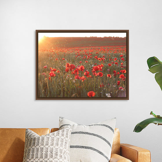 "Red Poppy Field 2"