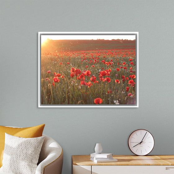 "Red Poppy Field 2"