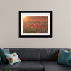 "Red Poppy Field 2"