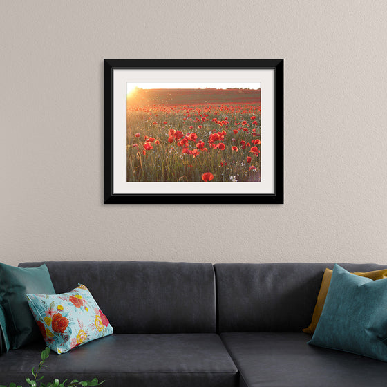 "Red Poppy Field 2"