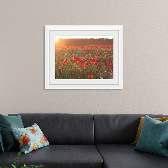 "Red Poppy Field 2"