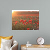 "Red Poppy Field 2"