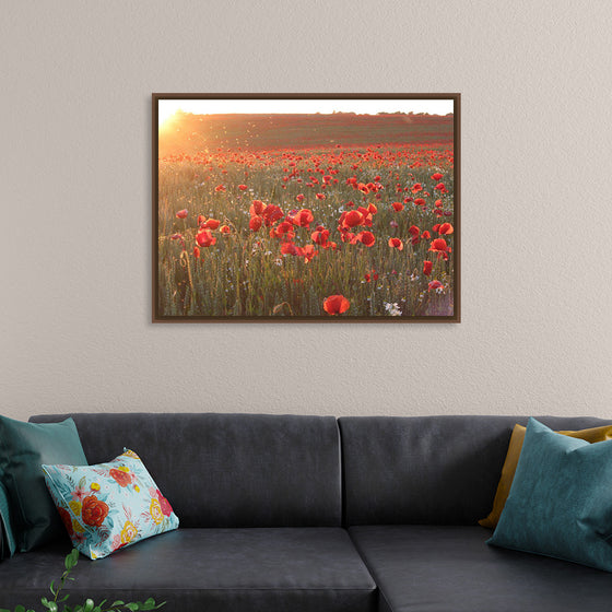 "Red Poppy Field 2"